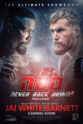 Никогда не сдавайся 3 / Never Back Down: No Surrender