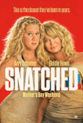 Дочь и мать её / Snatched