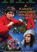 Рождественское чудо в стиле карате / A Karate Christmas Miracle