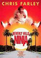 Ниндзя из Беверли Хиллз    / Beverly Hills Ninja