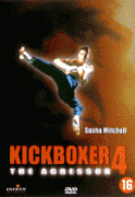 Кикбоксер 4: Агрессор    / Kickboxer 4: The Aggressor