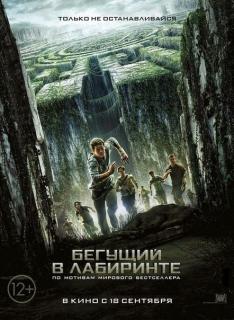 Бегущий в лабиринте    / The Maze Runner