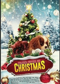 Проект: Щенки на Рождество / Project: Puppies for Christmas