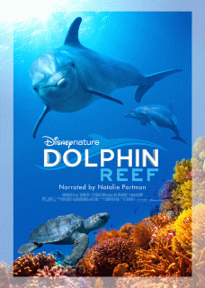 Дельфиний риф / Dolphin Reef