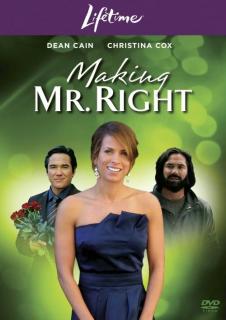 Создать мистера Совершенство    / Making Mr. Right